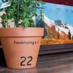 kluge_topfe_lohmann_2
